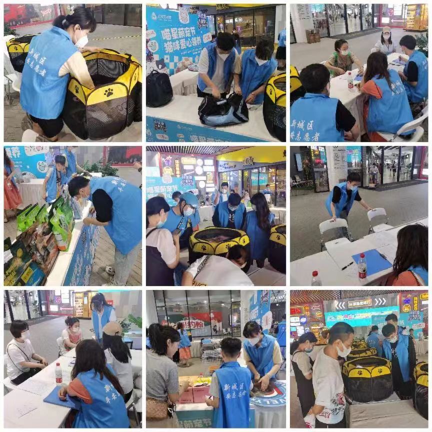 cb779b7407942bc5bd19423394954f5